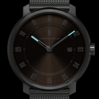 Neolux Silver Brown
