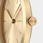 Rosalux – Gold Rush